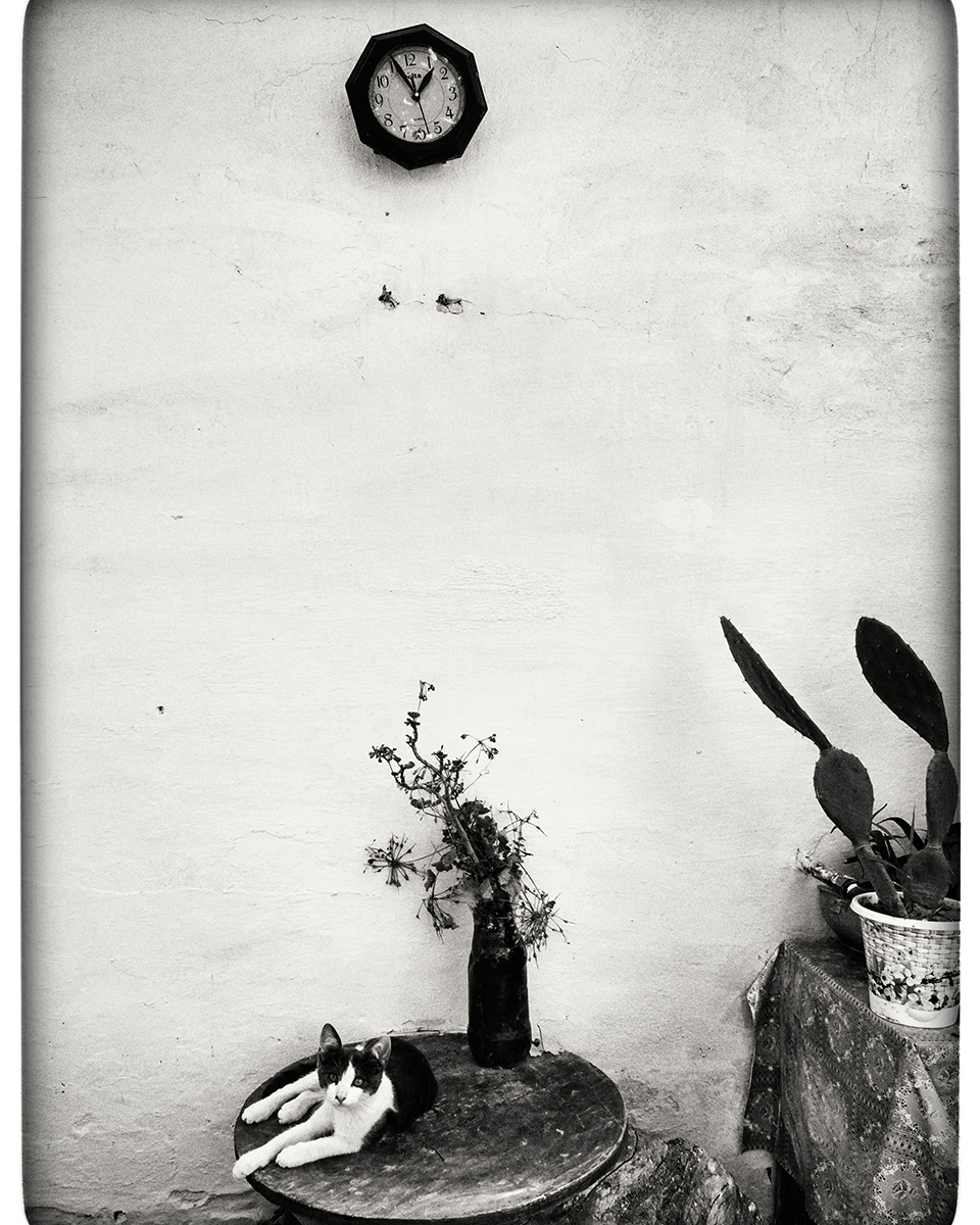 Mobile Photography