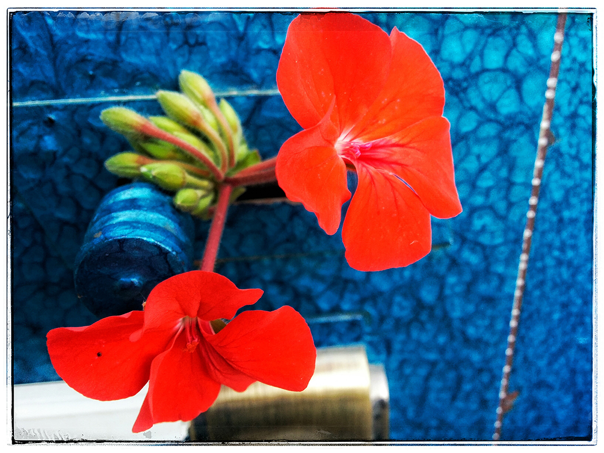 Mobile Photography